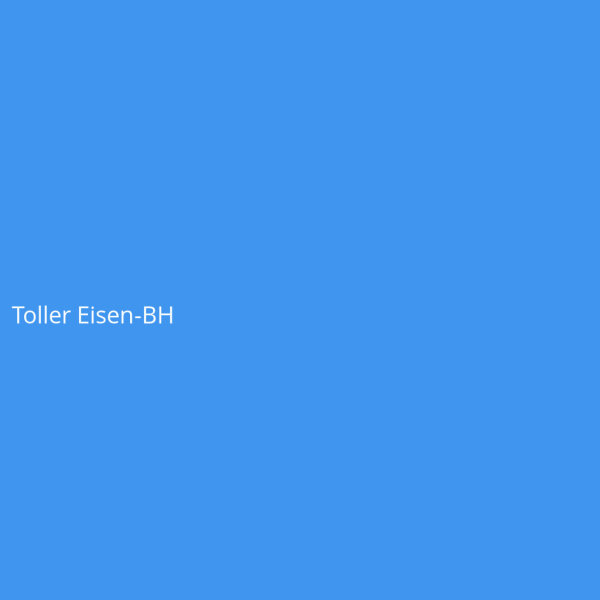 Toller Eisen-BH