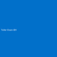 Toller Eisen-BH